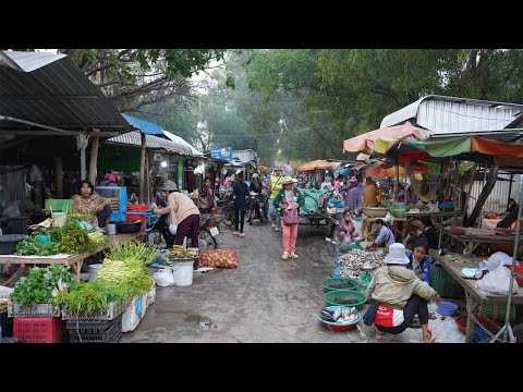 Countryside Food Market Scene @Vihear Sour - Plenty Rural Fish, Vegetable, Pork, Beef, Frog & More