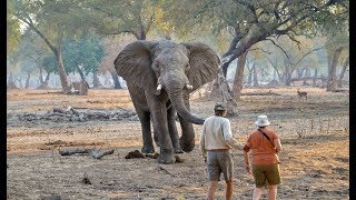Mana Pools - Zimbabwe : Overview