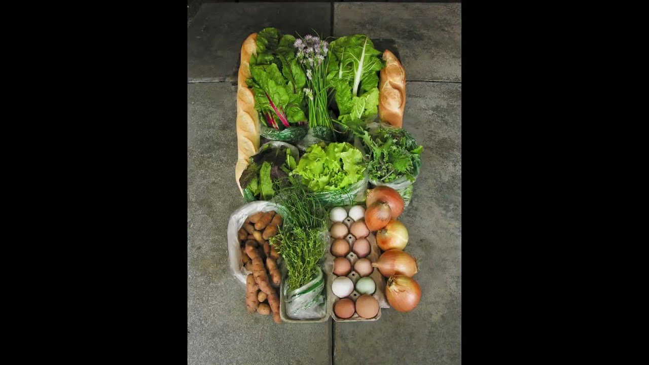 20090424 week 6 spring CSA