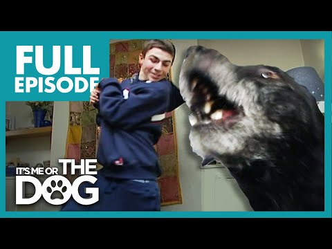 World's Smallest Bodyguard: Rex | Full Episode | It's Me or the Dog