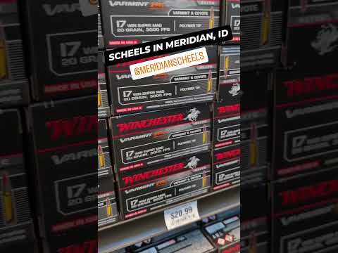 17WSM Ammo Test: Winchester XPERT