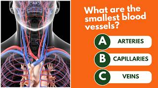 General Knowledge Quiz Multiple Choice | Test Your Brain Power in 10 Minutes!