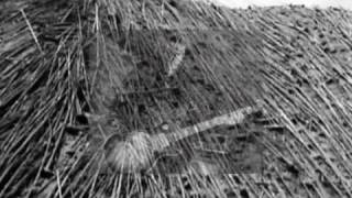 Satyricon - Black Lava