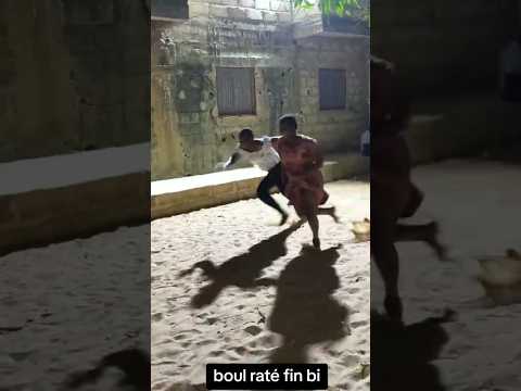 Kogne bi Nékhna 😂😂😂😂