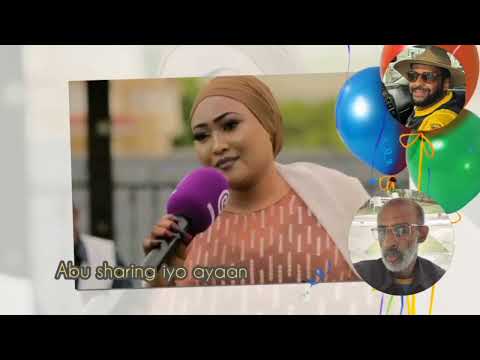 hestii  subacil  xariir  sidow  abu sharib iyo ayaan araksan