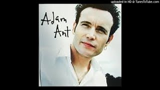 Adam Ant - Wonderful [HD]