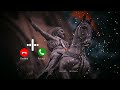 Chhatrapati Shivaji Maharaj Ringtone Latest 2022