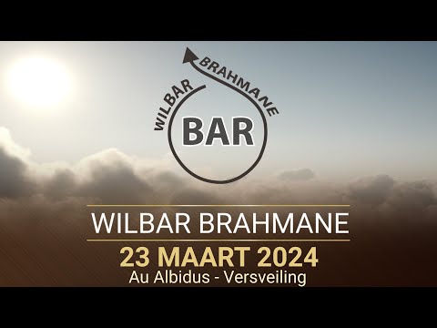 Wilbar Brahmane (Au Albidus Versveiling) - 23 Maart 2024