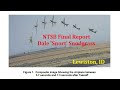 NTSB Docket and Final Report Dale 'Snort' Snodgrass