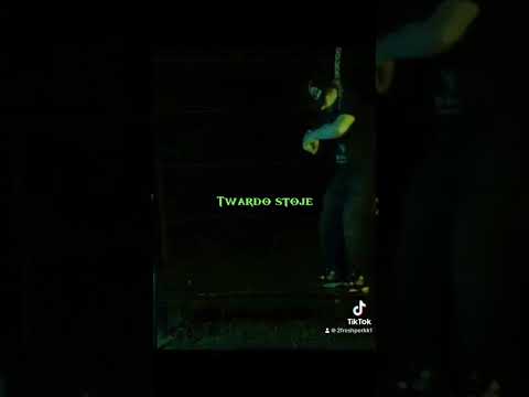 perkk1 - północ już na kanale! #shorts #music #perkk1