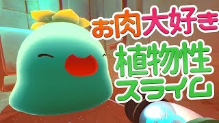 個性派⁉砂漠の住人スライムたち #33【Slime Rancher】スライムランチャー 実況