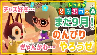 まだ9月気分だからのんびりサケとキングサーモン釣る【あつまれどうぶつの森】【実況】