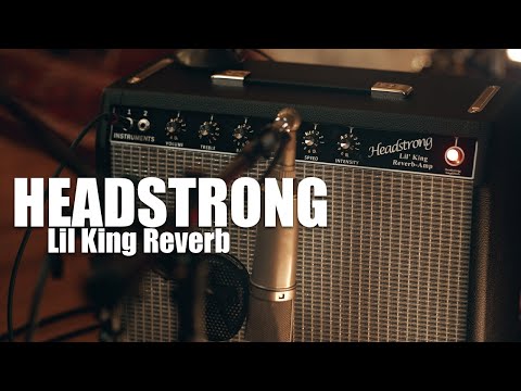 Headstrong Lil’ King Reverb - Black / Aged Silver. GA-SC64 12” image 12