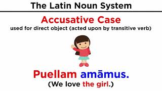 The Latin Noun System