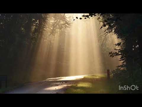 De Sen Bloos Wajch - Plautdietsch - ~Susie Funk They are just gone. 444 hz