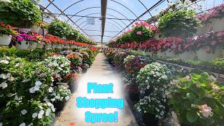 Shopping at a  Mega Greenhouse and Other Plant Shops