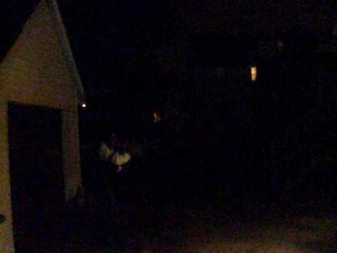 alvin and the bull whip