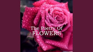 Robert Burns - A Red, Red Rose