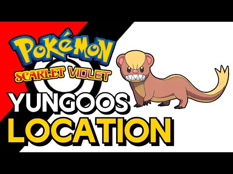 Pokemon Scarlet & Violet - Yungoos Location