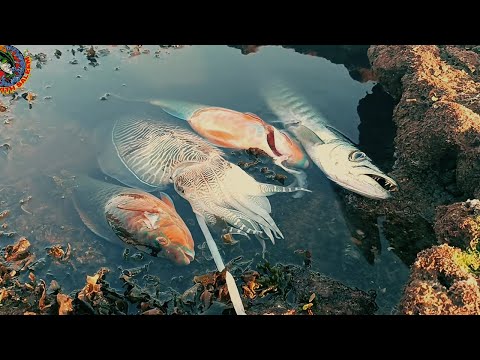 Manora Beach karachi Picnic Point 2023| |Manora Beach Family Picnic Point| Manoora fishing!