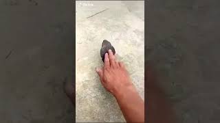 Download lagu Hantu bikin kaget bikin jantungan mp3