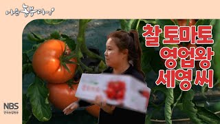 [나는농부다 241회] 찰 토마토 영업왕 세영 씨