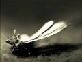 L'Altra - Moth In Rain
