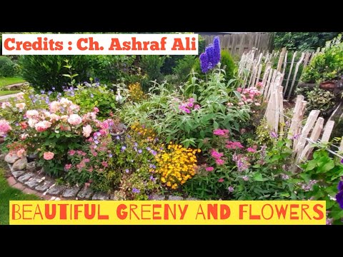 Beautiful Clicks of Greeny And Flowers In Mumbai | Credits : Ch. Ashraf Ali |
