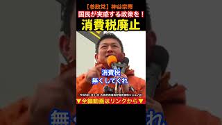 【自民党に突きつける】消費税を無くせ！神谷宗幣#参政党