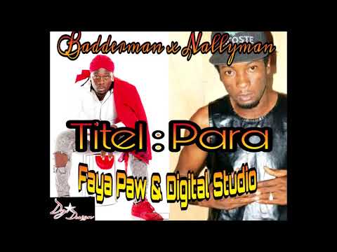 NALLY MAN x BADDERMAN _ PARA