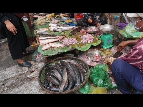 Amazing Morning Food Market Scene at Phsa Touch - Walking Tour Around Tuol Sangke Market