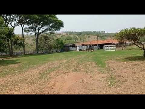 sardinha fazendas 62 981754422