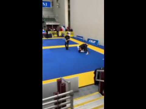 Maximilian Hanson 2019 BJJ/MMA highlight