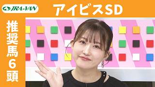 【アイビスサマーダッシュ2026】JRA公式データを深掘！推奨馬発表！/ JRA-VAN【公式】