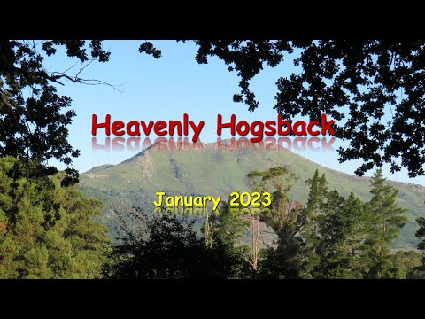 Hogsback 2301