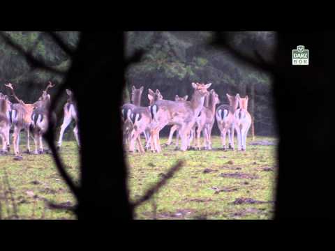 Darz Bór zapowiedź odcinka 130