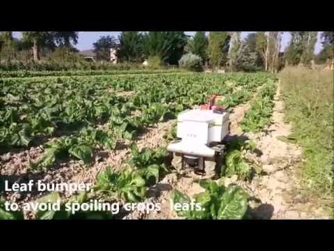 youtube video image