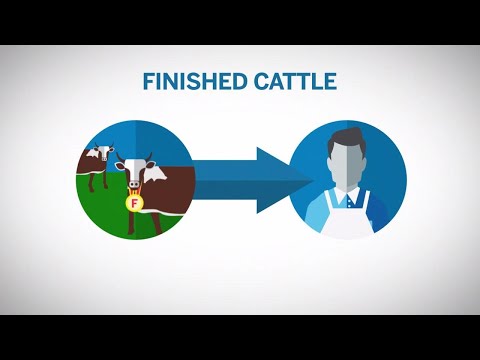 Dr. Sara May, Allergy and Immunology