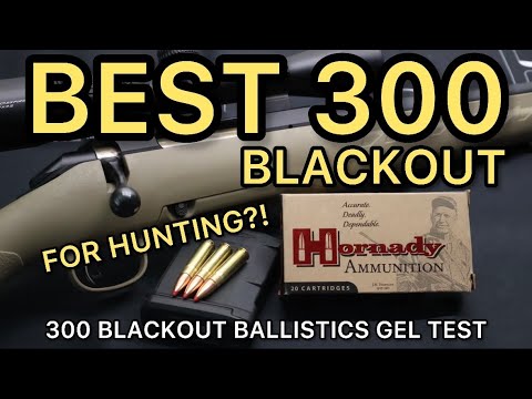 BABY 30-30?! 300 Blackout Hornady Custom 135gr FTX Ammo Test