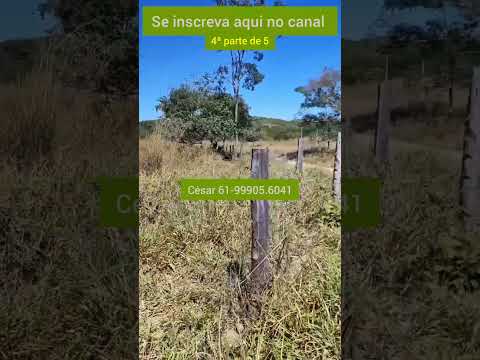 4ª Ótima fazenda de 18 alqueires em Padre Bernardo GO. #brasil ##agro #fazenda #gado #padrebernardo