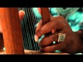 Mamadou Diabate - Jamanadiara Performance on Kora
