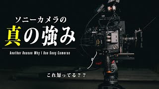 This is one of the reasons why I continue to use Sony cameras.