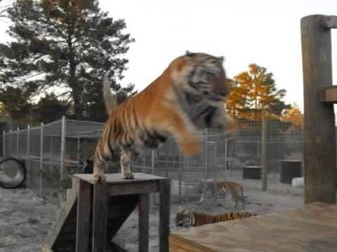 Just Another Day @ Single Vision!