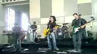 Steve Forde at Woolworths - Summer&#39;s Little Angel