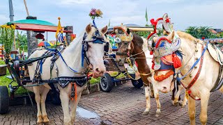 Download lagu KUDA | KUDA DELMAN - KUDA ONDEL ONDEL | LAGU NAIK DELMAN, WHEELS ON THE BUS, SELAMAT ULANG TAHUN mp3 Download lagu KUDA | KUDA DELMAN - KUDA ONDEL ONDEL | LAGU NAIK DELMAN, WHEELS ON THE BUS, SELAMAT ULANG TAHUN mp3