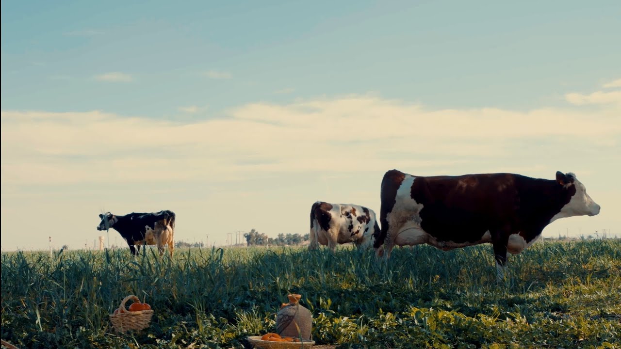 زبدة الحضنة جزء من كل وصفة جزائرية