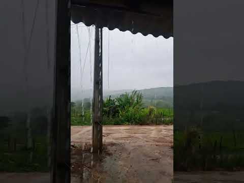 Bom dia chuva abençoada na roça Utinga Bahia