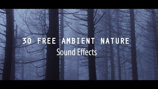 30 FREE Ambient Nature Sounds Effect | Cinematic Sounds Effects