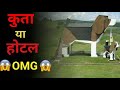 World S Amazing Different Hotel Building Dog Bark Park Hotel Dancing Hotel New Video