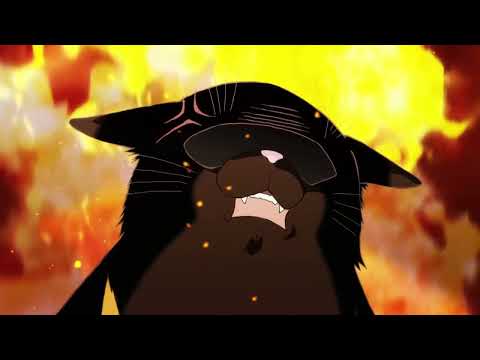 WHY HOMO SAPIENS | Dekiru Neko wa Kyou mo Yuutsu